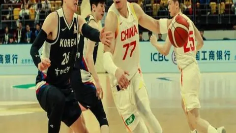 赵震分析：若阿马杜3个月后未康复，申花夏窗或需调整阵容